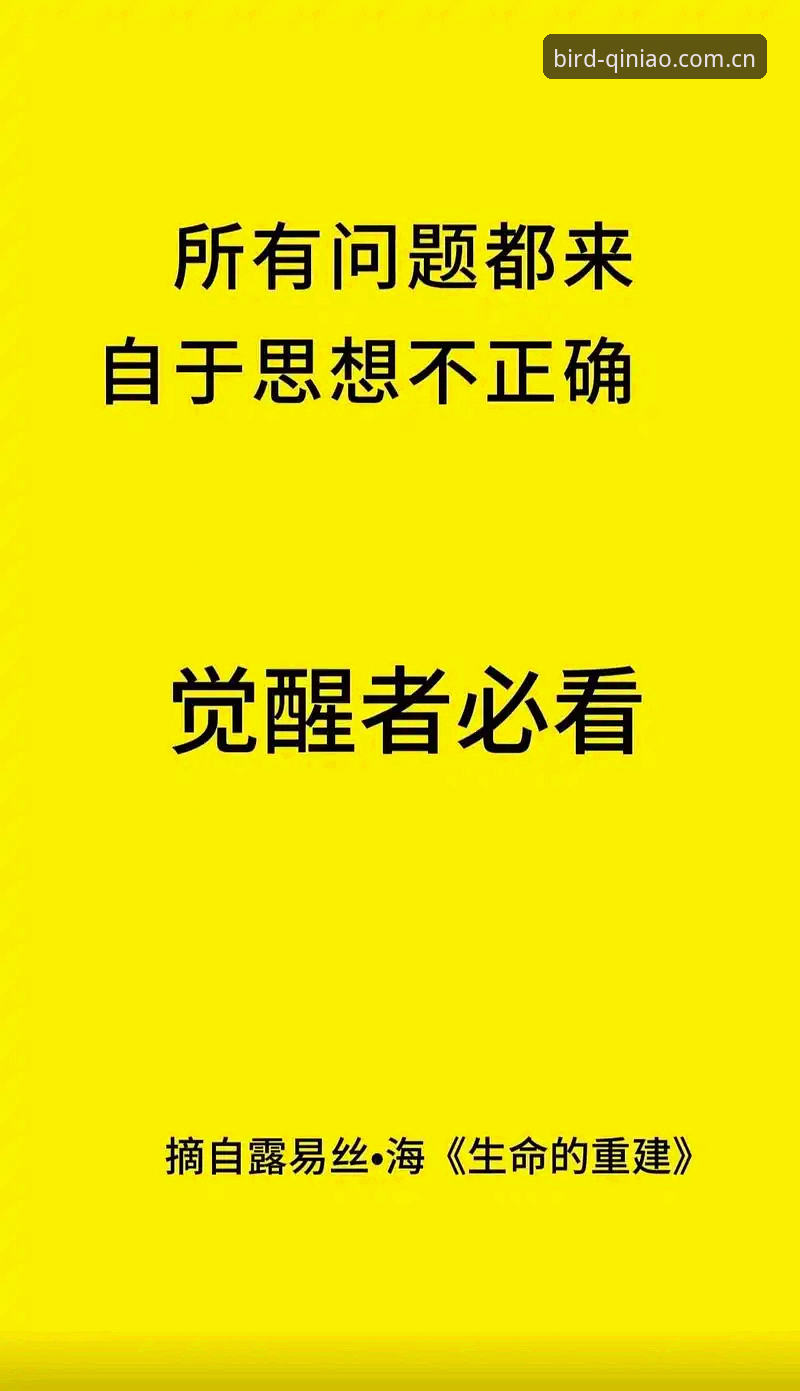 小鸟棋牌安卓版安装失败全面解析：从问题根源到完美解决方案