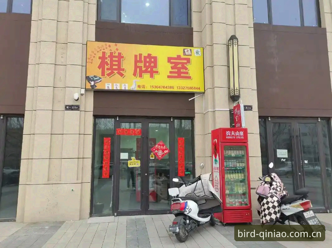 小鸟棋牌靠谱吗？老用户三年体验详解