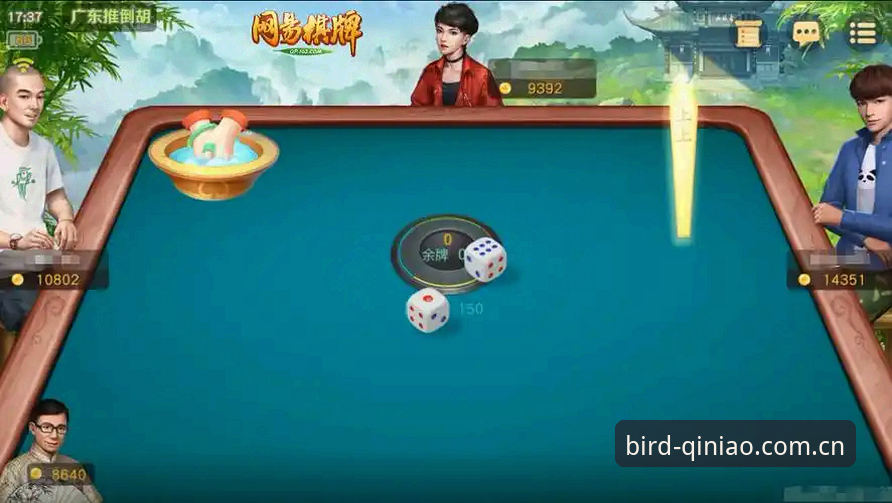 资深用户分享：小鸟棋牌电脑版攻略，从下载到实战的完整心得